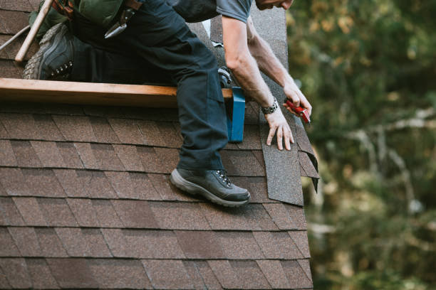 Best Roof Leak Repair  in West Point, MS